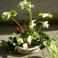bloemstuk met flessen wijn