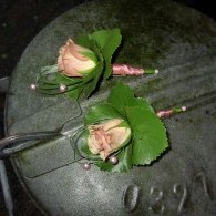 corsage rose .JPG