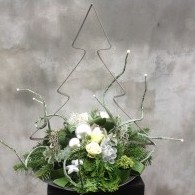 IMG_5600.JPG